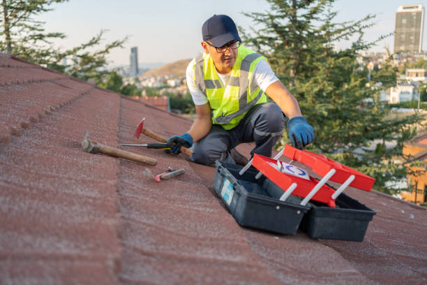 Best Fiber Cement Siding Installation  in Pleak, TX